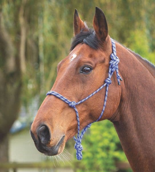 Shires Rope Control Headcollar