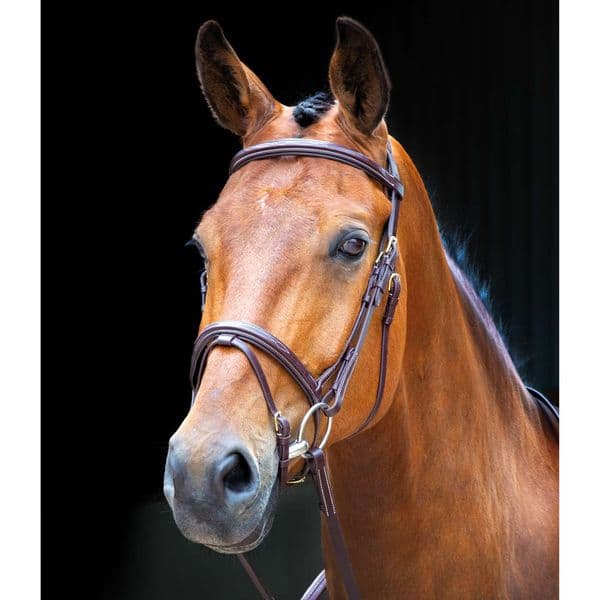 Shires Salisbury Bodenham Bridle
