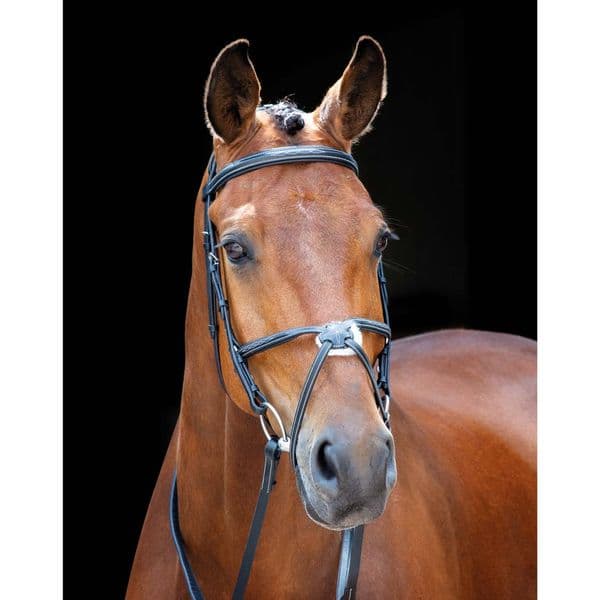Shires Salisbury Brackley Bridle