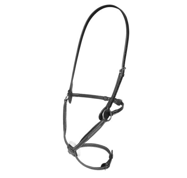 Shires Salisbury Brackley Noseband