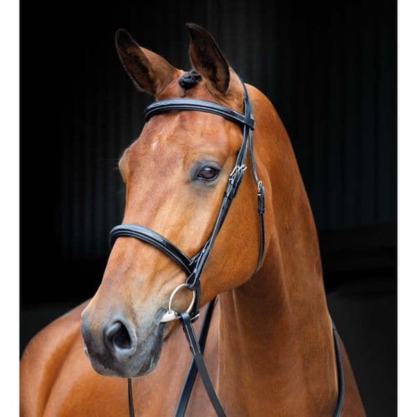 Shires Salisbury Fairford Bridle