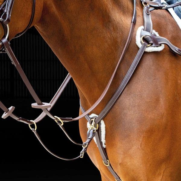 Shires Salisbury Five Point Breastplate