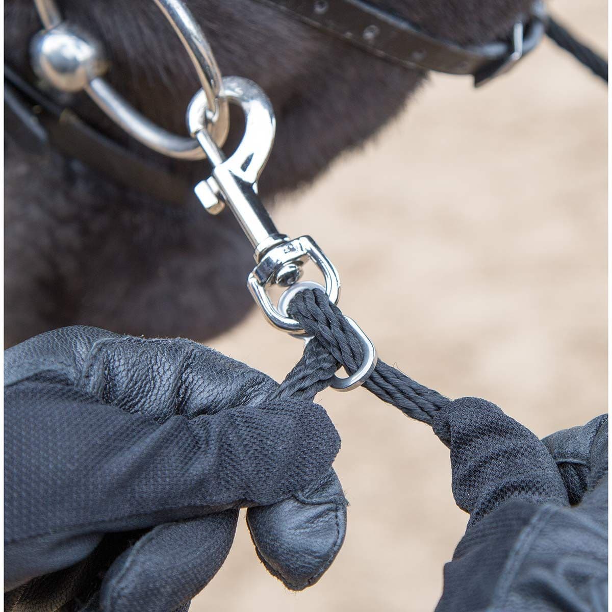 Shires Soft Lunge Aid