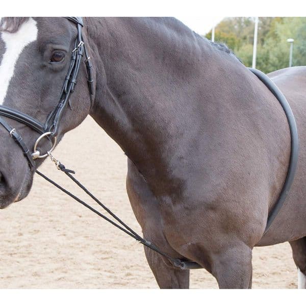 Shires Soft Lunge Aid