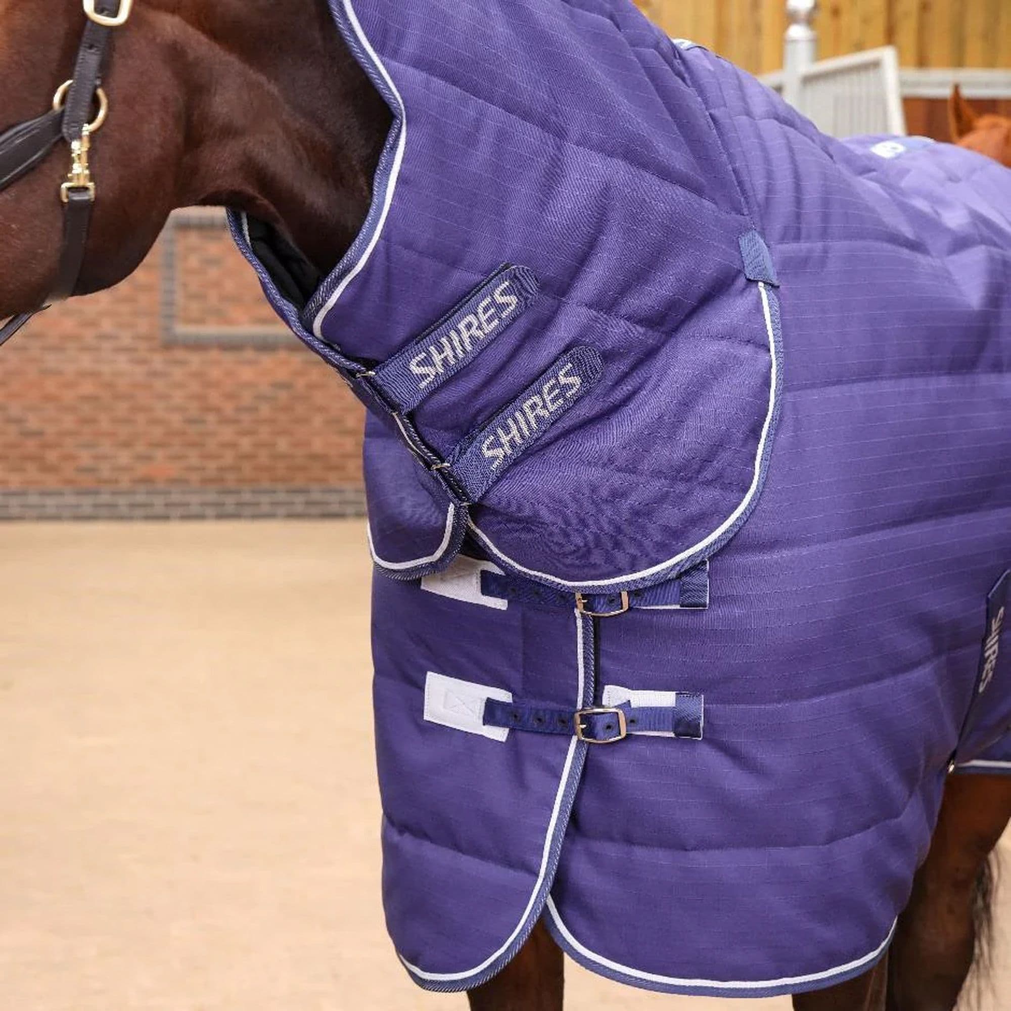 Shires Tempest Original 100 Combo Stable Rug