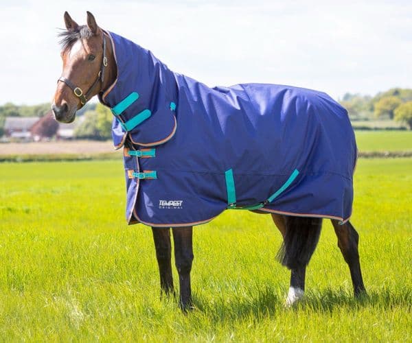 Shires Tempest Original 100 Combo Turnout Rug - Navy Blue