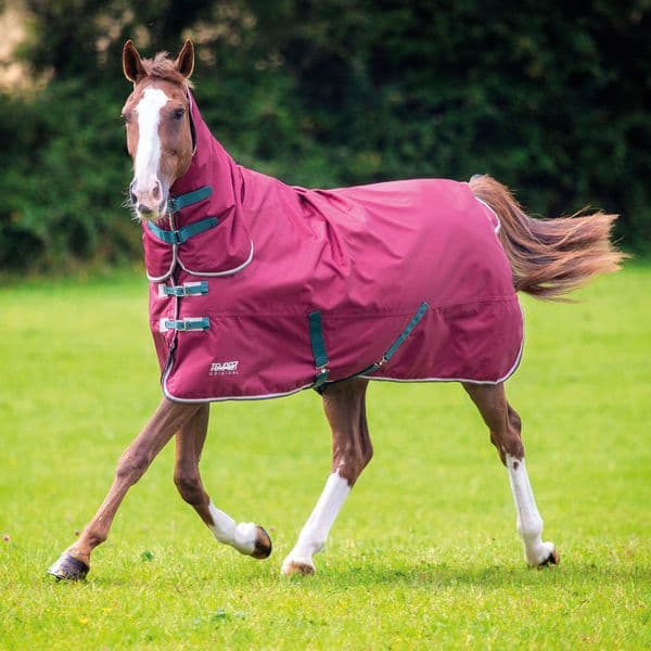 Shires Tempest Original 200 Combo - Maroon
