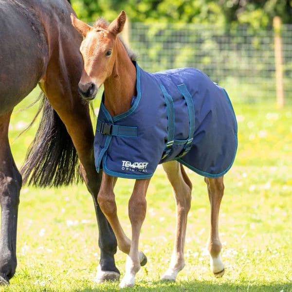 Shires Tempest Original 200 Foal Turnout Rug