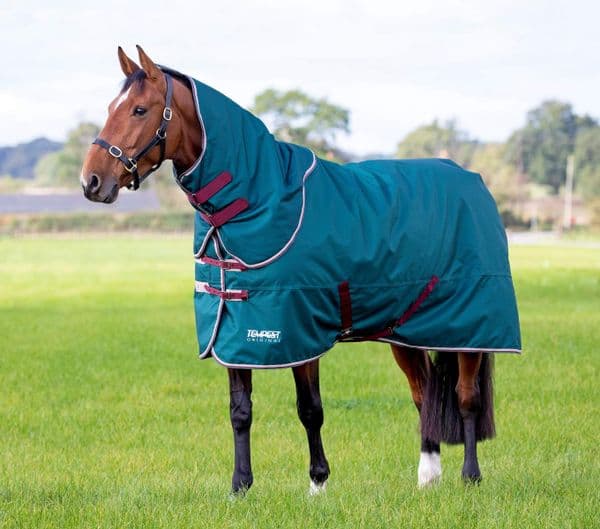 Shires Tempest Original 200 Turnout Rug and Neck Set - Green