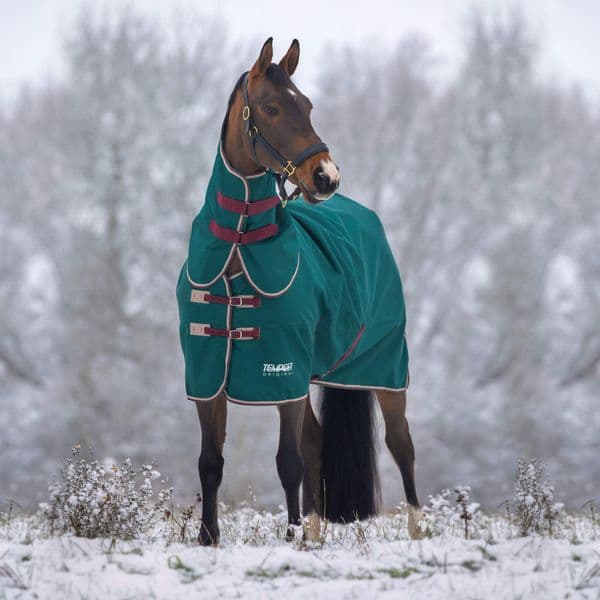 Shires Tempest Original 200 Turnout Rug and Neck Set - Green