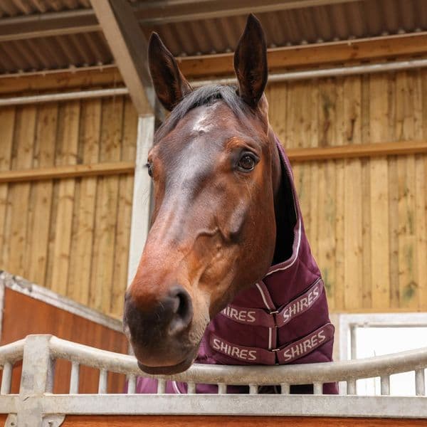 Shires Tempest Original 300 Combo Stable Rug