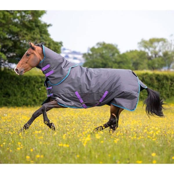 Shires Tempest Original 300 Rug & Neck Set