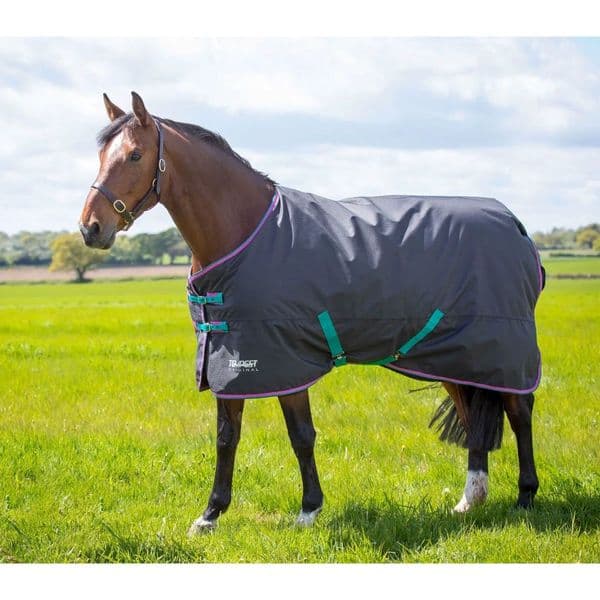 Shires Tempest Original 300 Turnout Rug - Black