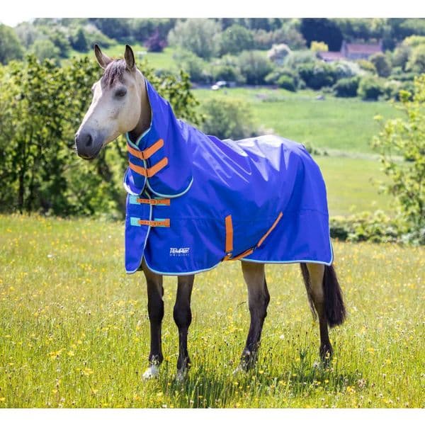Shires Tempest Original 50g Combo Turnout Rug - Royal Blue