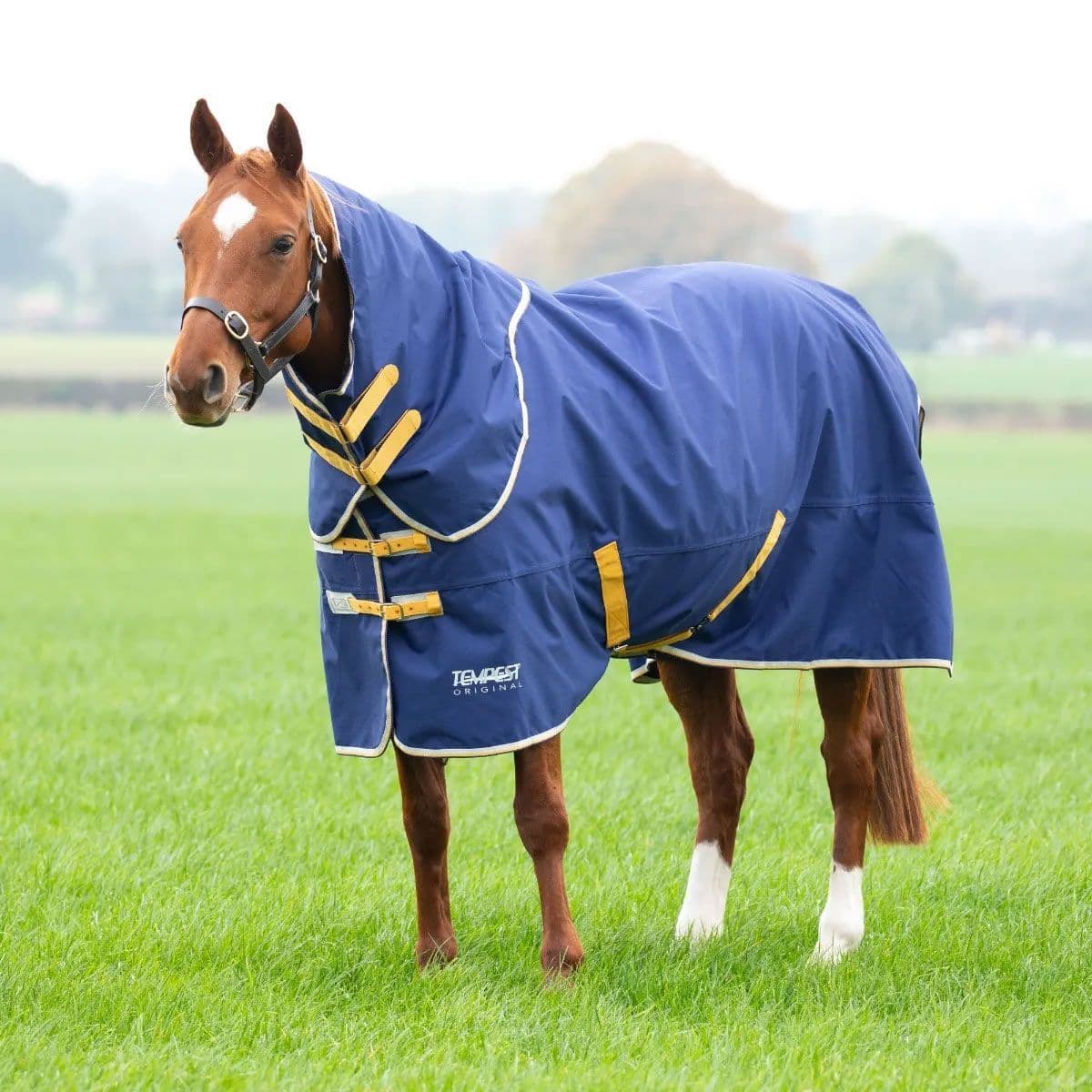 Shires Tempest Original 50g Turnout Rug and Neck Set