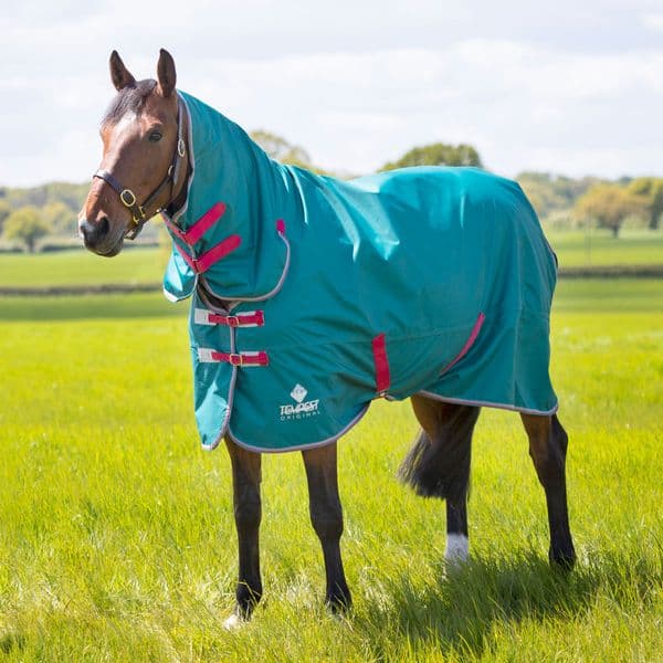 Shires Tempest Original Air Motion Combo Turnout - Green