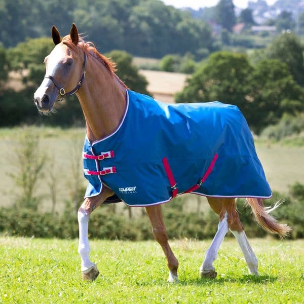 Shires Tempest Original Lite Turnout Rug Teal