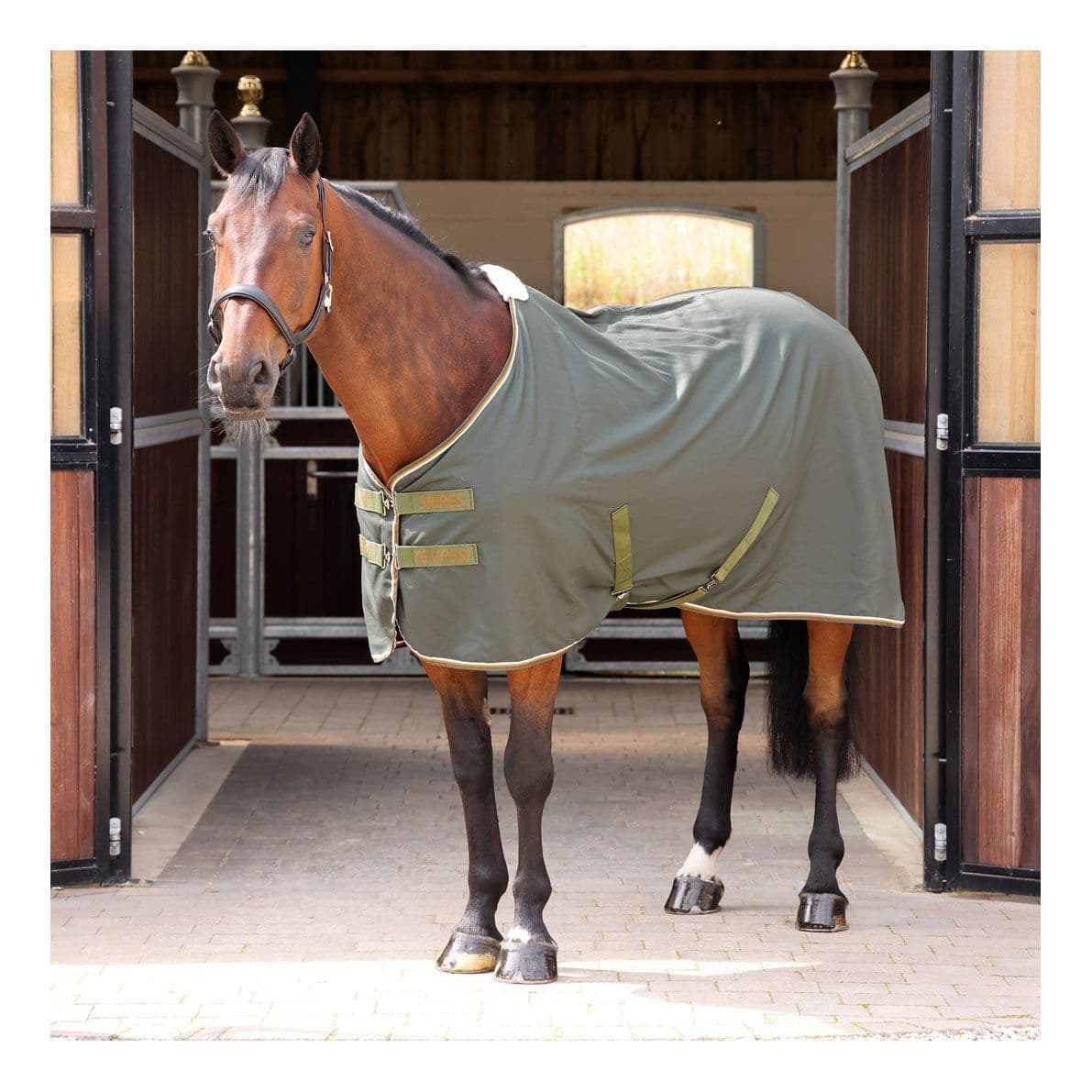 Tempest Original 100 Turnout Rug In Navy