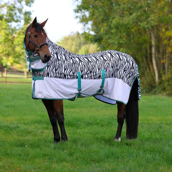Shires Tempest Original Zeb-Tek Fly Combo