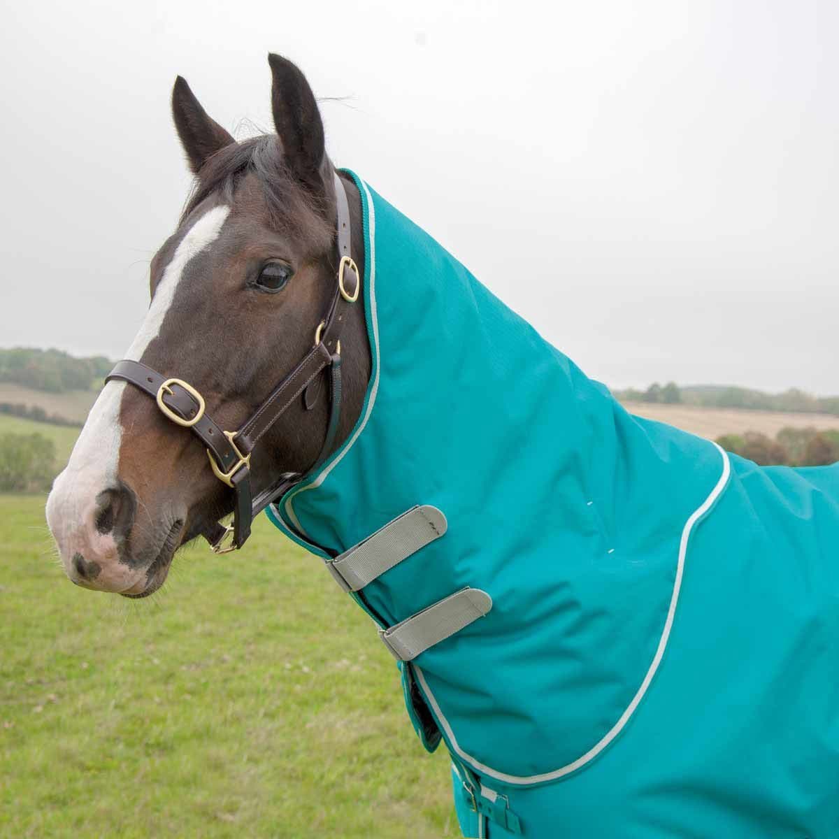 Sous-tapis Shires Tempest 200g - 6 Pieds (environ 183 Cm), Noir, Impeccable