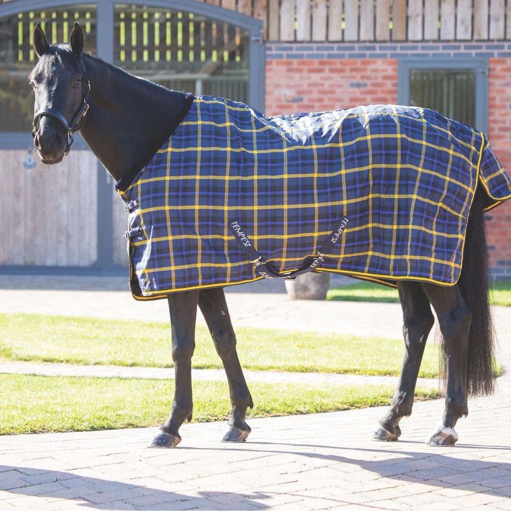 Shires Tempest Plus Lite 0g Stable Rug