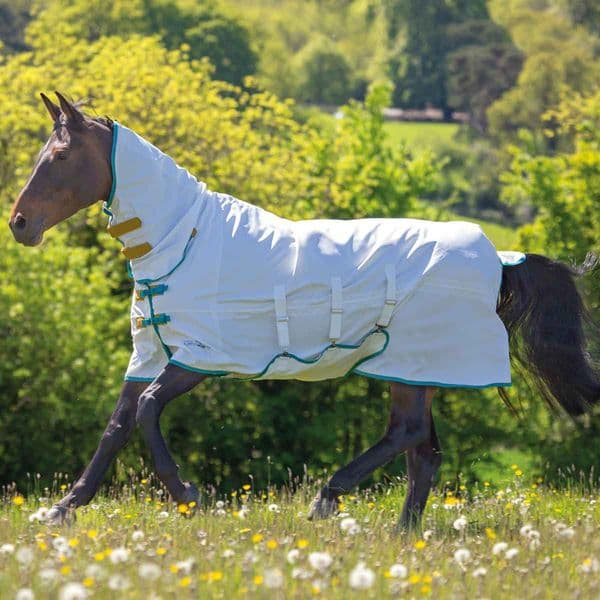 Shires Tempest Plus Sweet Itch Combo