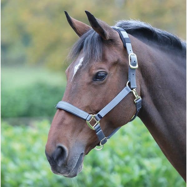 Shires Topaz Nylon Headcollar
