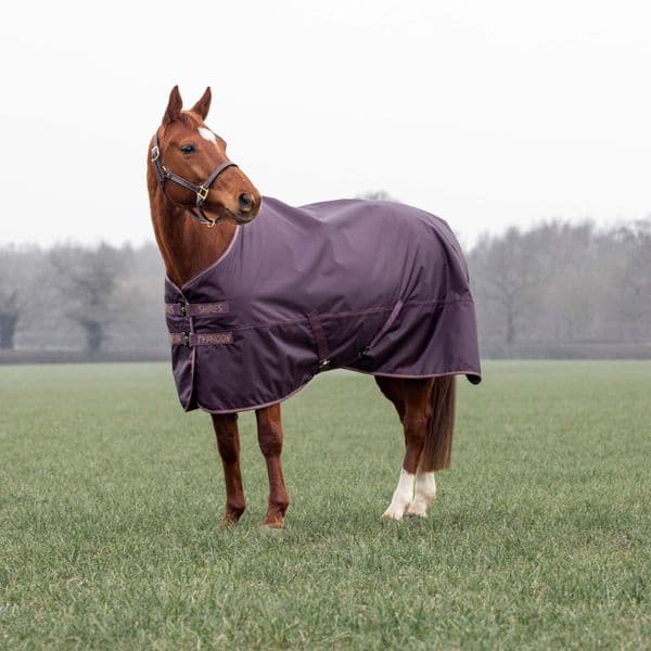 Shires Typhoon 100 Turnout Rug