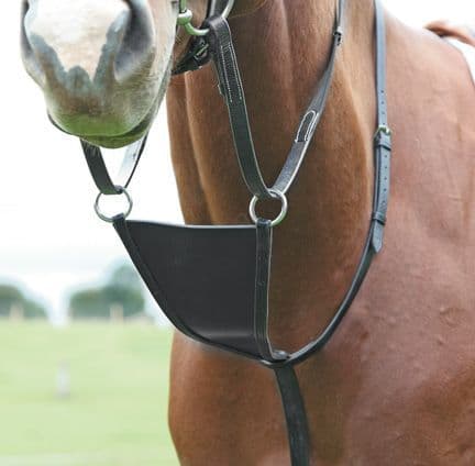 Shires Velociti GARA Bib Martingale