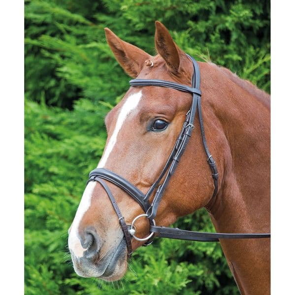 Shires Velociti GARA Comfort Fit Bridle
