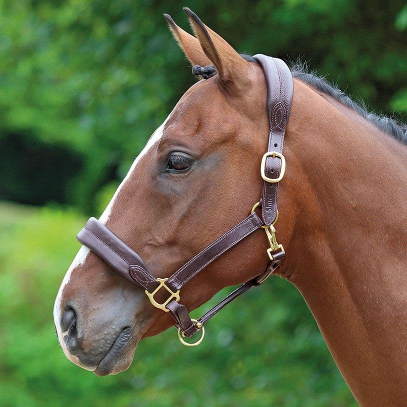 Shires GARA Ragley Lined Leather Headcollar