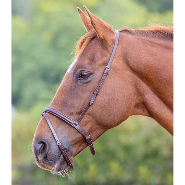 Shires Velociti GARA Flash Noseband