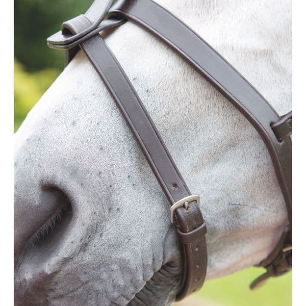Shires Velociti GARA Flash Strap