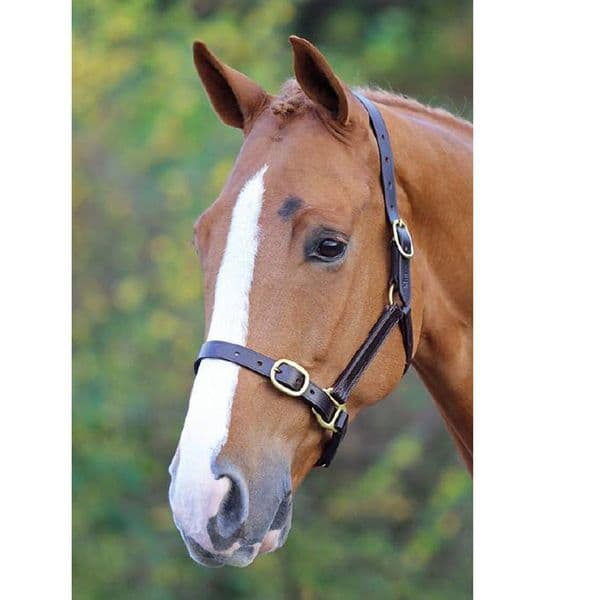Shires Velociti GARA Leather Fully Adjustable Leather Headcollar