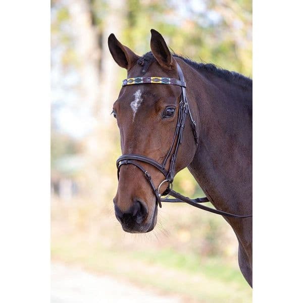 Shires Velociti GARA Leather Polo Browband