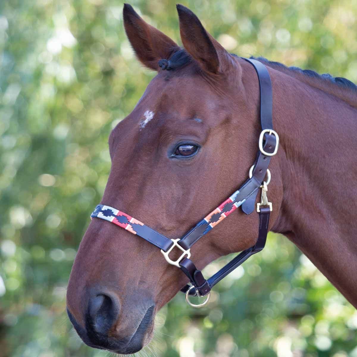 shires velociti headpiece