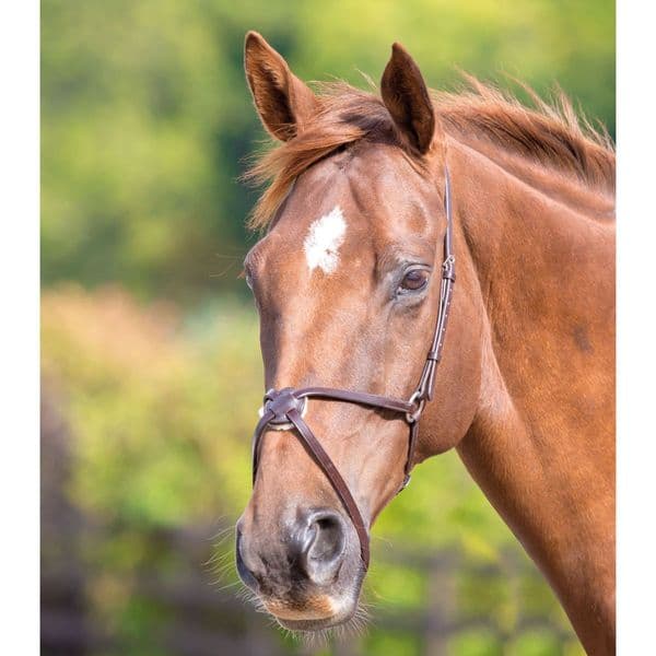 Shires Velociti GARA Mexican Noseband