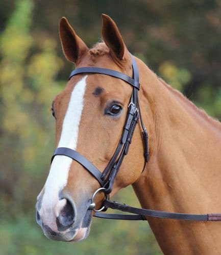 Shires Velociti GARA Plain Bridle