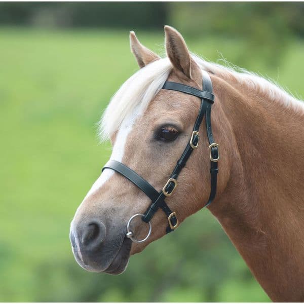 Shires Velociti GARA Plain Inhand Bridle