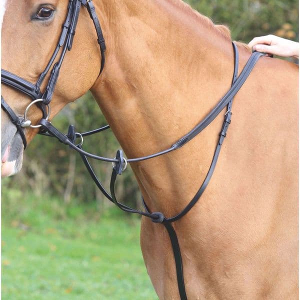 Shires Velociti GARA Running Martingale