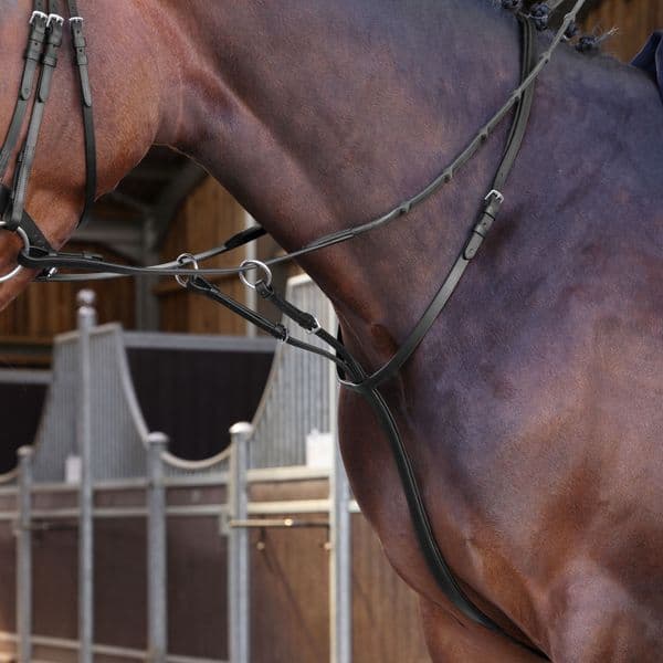 Shires Velociti LUSSO Elite Running Martingale