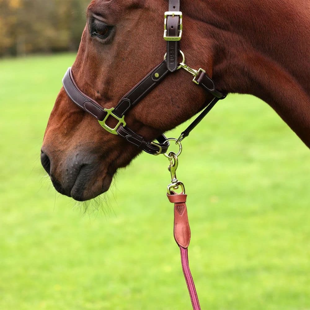 Leather Lead Ropes Shires Velociti Lusso Leather Lead Rope