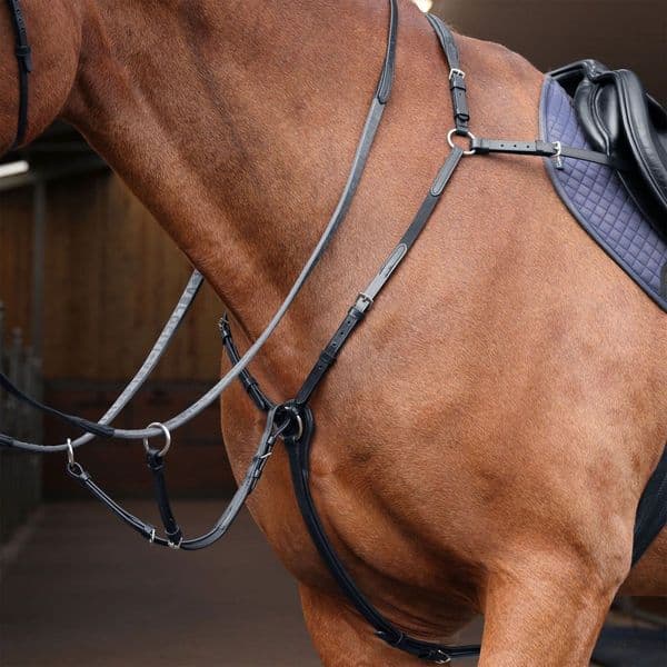 Shires Velociti Rapida Elastic Breastplate