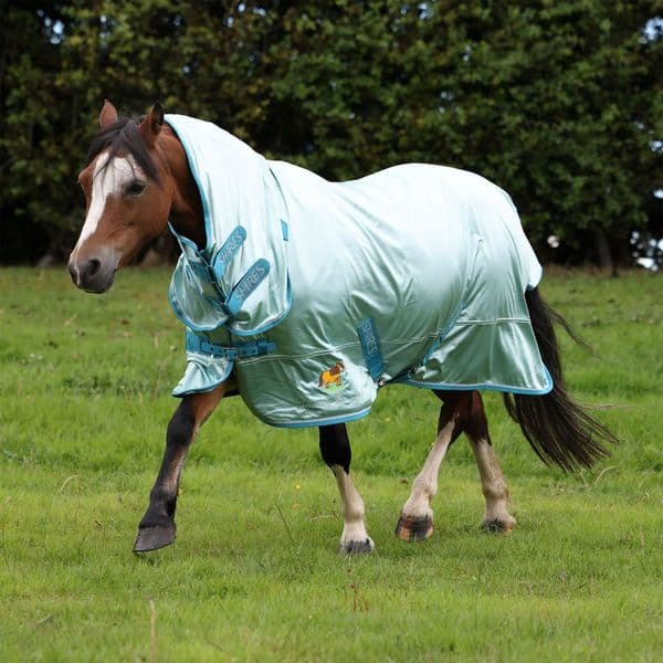 Shires Winnie & Me Fly Combo Rug