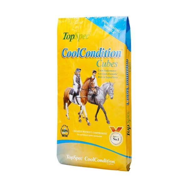 TopSpec CoolCondition Cubes