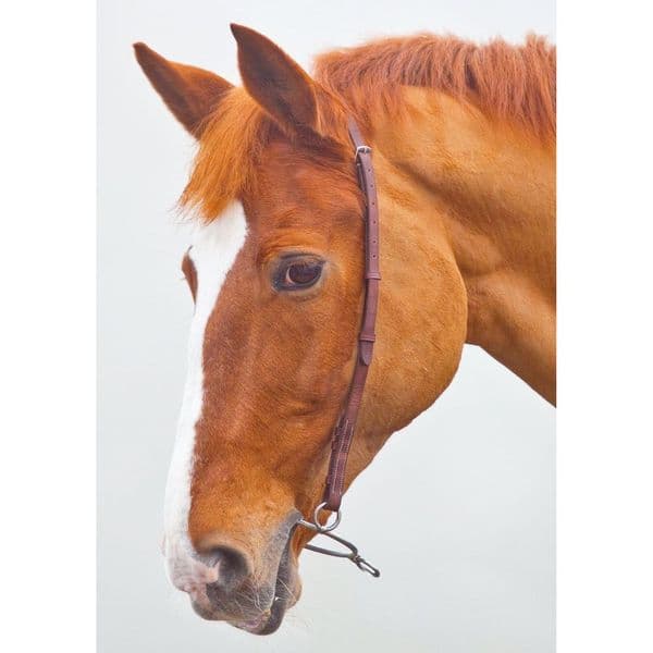 Velociti GARA  Chifney Bit Strap