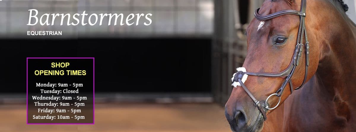 barnstormers equestrian