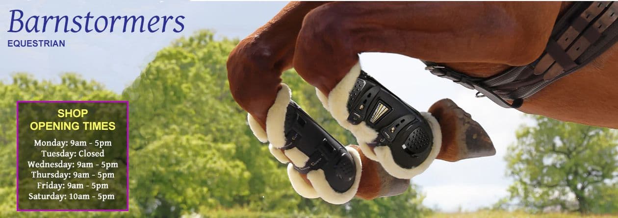 barnstormers equestrian