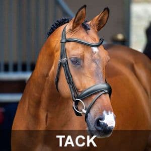 Bridles, martingales, breastplates, stirrups