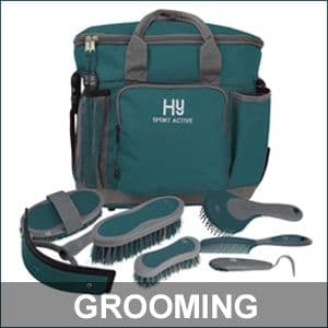Horse Grooming